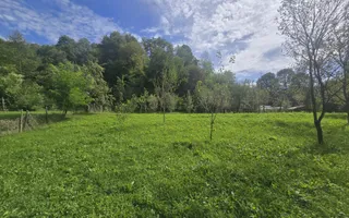 Oportunitate de investiție în Breaza – teren intravilan de 3.591 mp - Poză 15