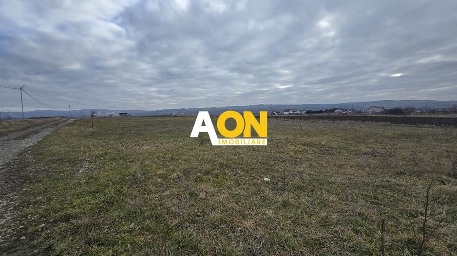 Teren Intravilan 10.000MP Zona Partos - Poză 1