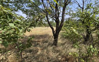 De vanzare teren industrial in Calarasi/Belciugatele - Poză 13