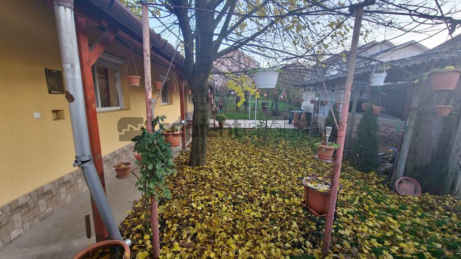 Casa Zona Oncea - Poză 8