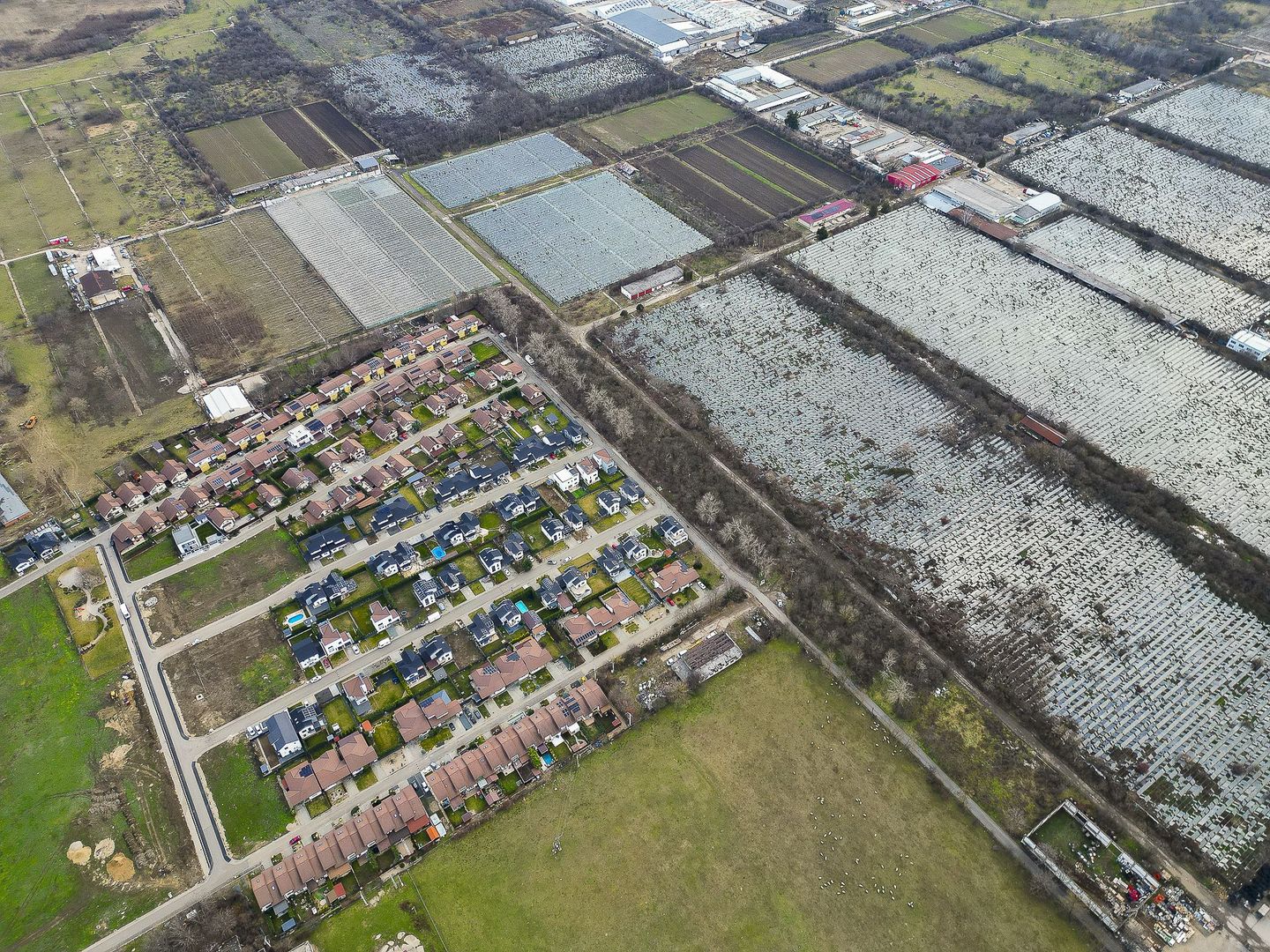 Teren Intravilan de 15.300 mp în Grădiște, Arad - Poză 3