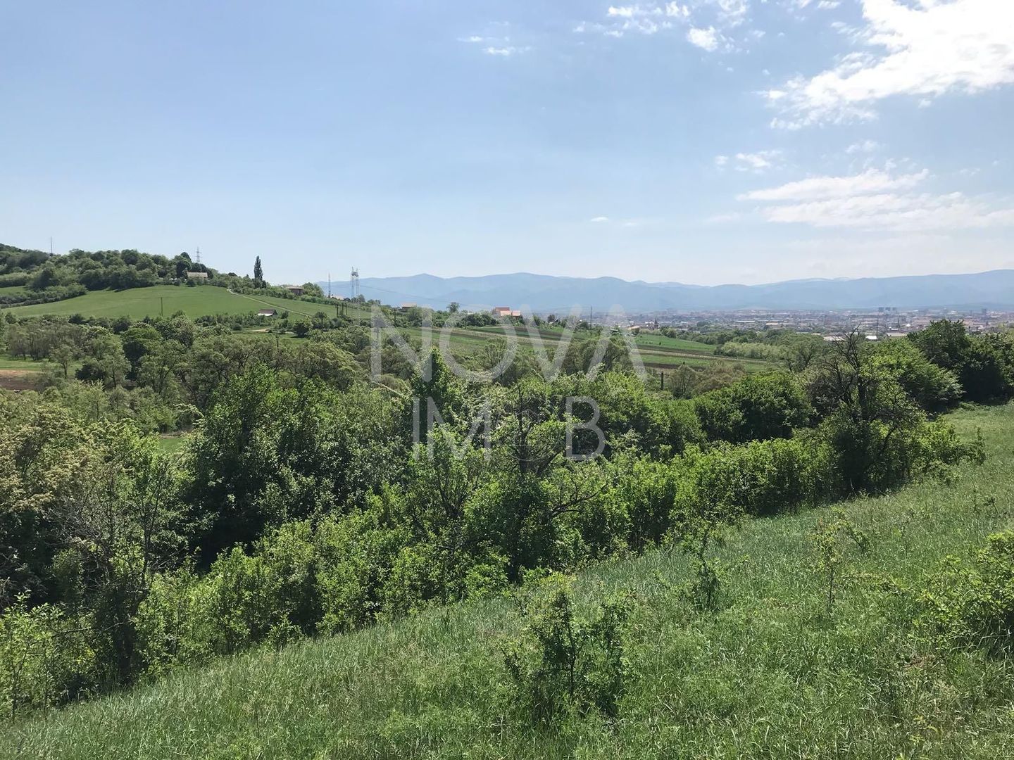Teren extravilan - 8000 mp, Gusterita - Poză 3