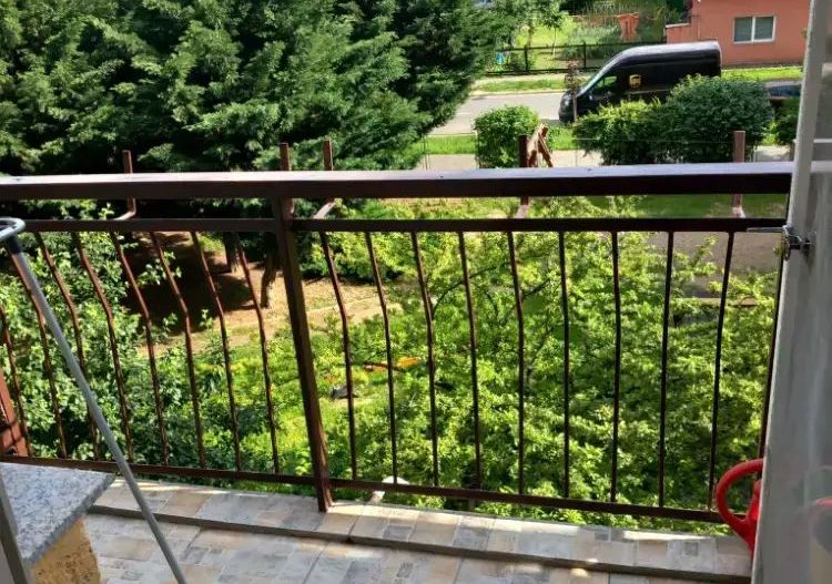 BRASADAS vinde ap 3 cam etaj 2/4 Carpati 2. - Poză 9