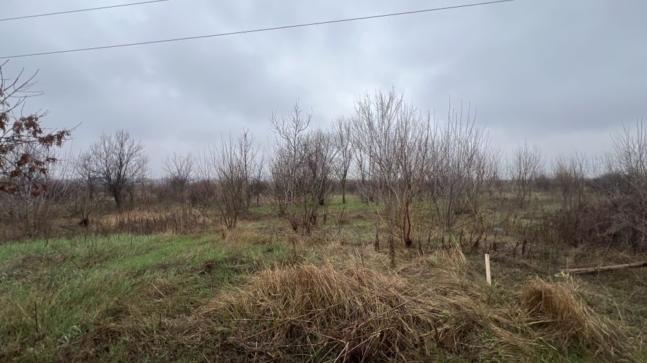 Teren la DN7 - ideal investitie (Benzinarie, spalatorie, hala) - Poză 4