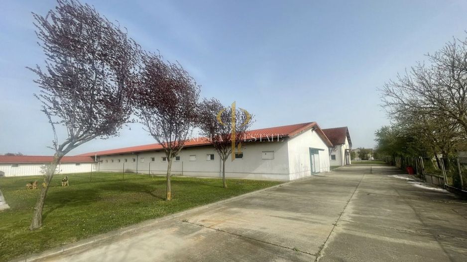 Spatii comerciale pentru activitati diverse - Dumbravita, central - Poză 9