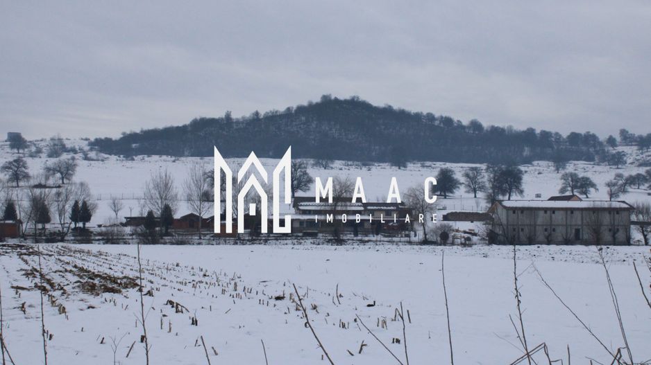 Teren 8000 mp I Intravilan I Utilitati- Vurpar - Poză 2