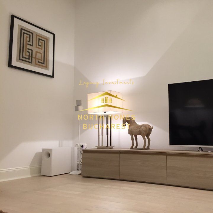 Apartament tip duplex in zona Capitale,  221mp: parter + demisol - Poză 5