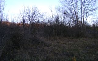 Teren de vanzare Cornu de Jos - Poză 2