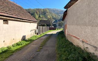 Teren intravilan Sinca Noua - Poză 2