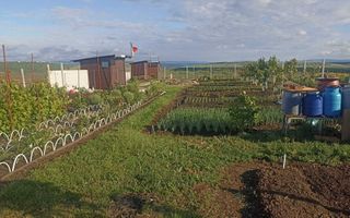Teren intravilan 470 mp – Horlești, Comuna Rediu, județul Iași - Poză 1