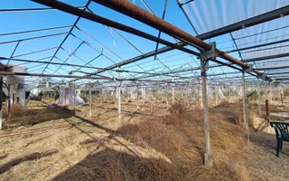 SERĂ INDUSTRIALĂ CU TEREN INTRAVILAN  – OPORTUNITATE RARĂ in Olari - Poză 13