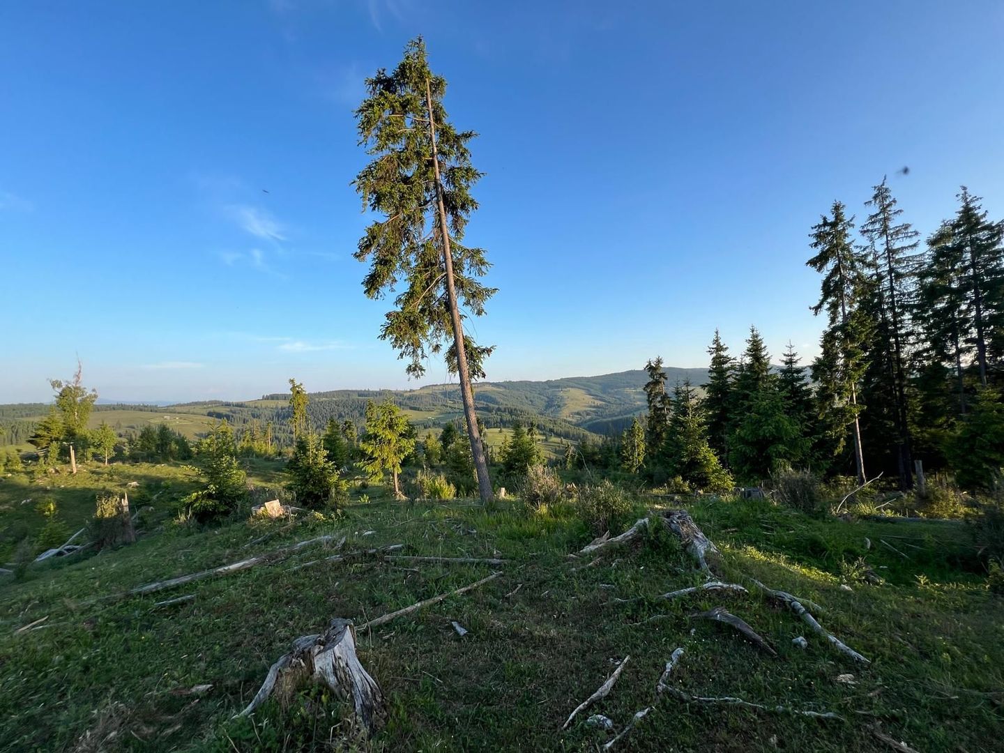 50 hectare teren | Moldova-Sulita | Potential turistic si agricol - Poză 9