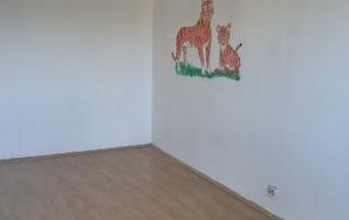 Apartament 1 camera Freidorf - Poză 4