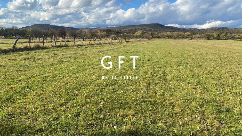 Teren extravilan 20 ari, Rusu Bargaului - Poză 2