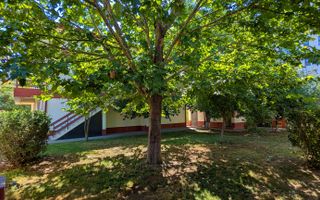 Vila in zona Berceni-Grand Arena, P+1+M, cu 1500 mp teren - Poză 4