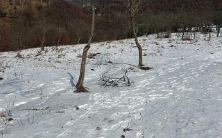 Teren de vânzare, 7750 mp I Orientare sudică I Caineni - Poză 1