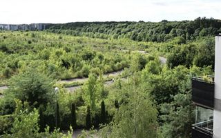 Închiriere Apartament 2 Camere, 97 mp | Vedere către Pădurea Băneasa - Poză 15