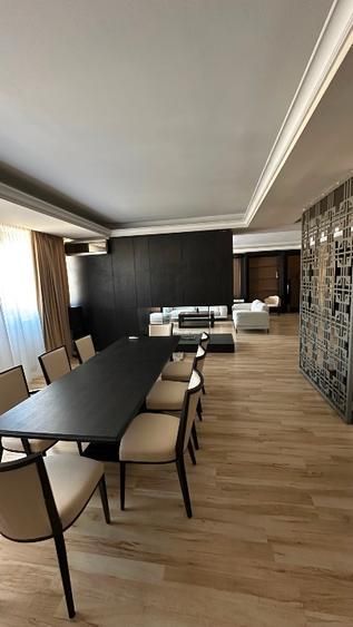 Triplex vedere panoramica | Terasa 80 mp | Herastrau - Poză 11