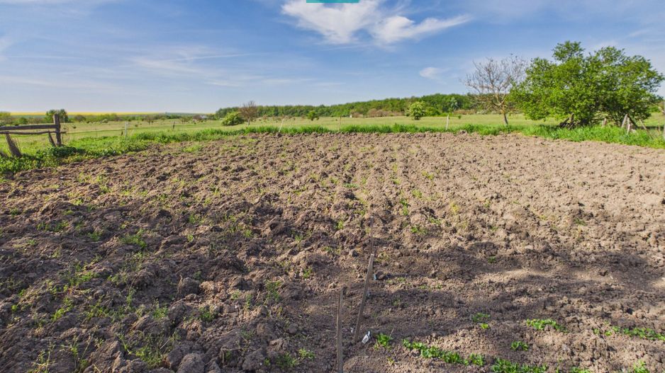 Casă retrasă Pișchia – 4 camere, teren 920 mp - Poză 63