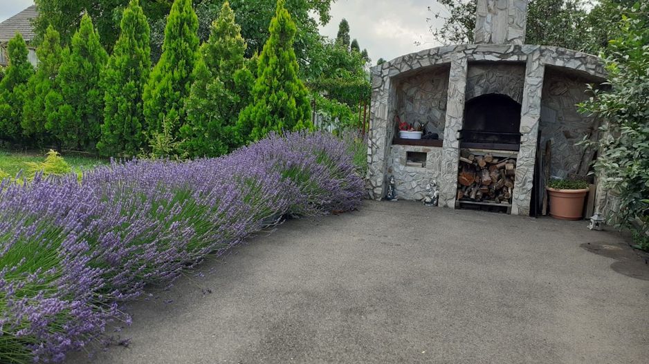 COMISION 0% | Vila 32 camere |Mircea cel Batran|Cazare muncitori|Azil - Poză 6