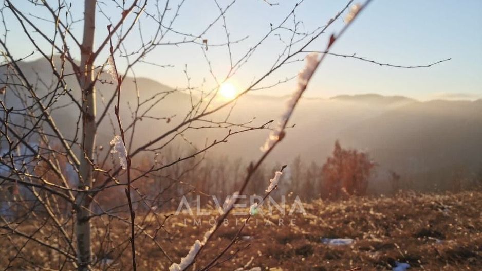 OPORTUNITATE | Teren intravilan | 34.625 mp | Plopi - Valea Ierii - Poză 9