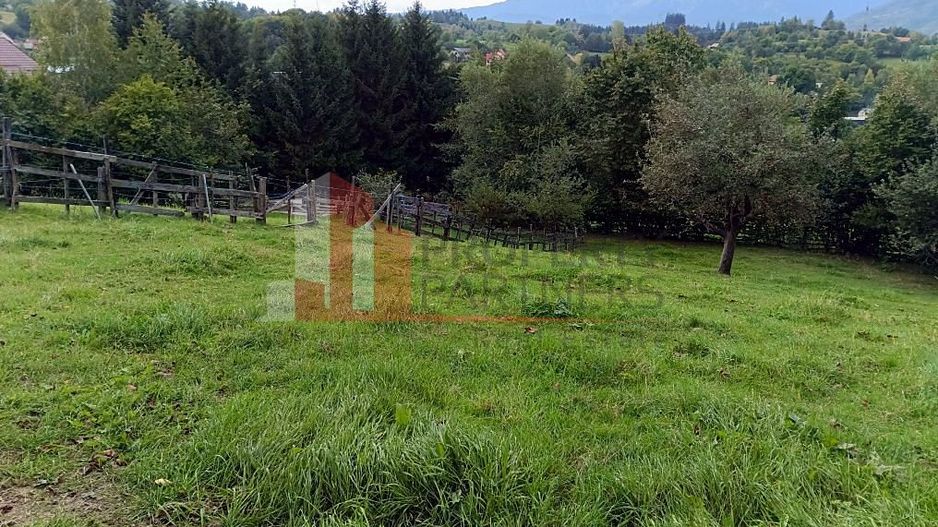 Teren intravilan 1.300 mp | Vedere Piatra Craiului | Bran Poarta - Poză 6