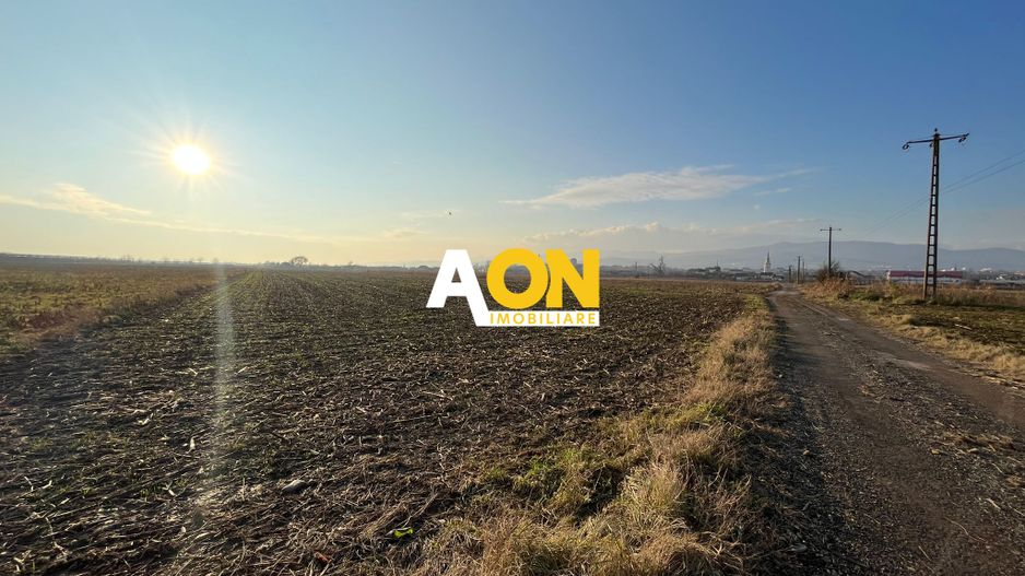 Teren de vanzare in zona Soseaua de Centura, 2.5 HA - Poză 1