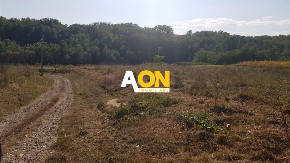 Teren intravilan Teleac cu toate utilitatile - Poză 3