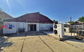 AZURA Imobiliare - Hala Fabrica de procesare Carne - Poză 22