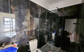 Casa 3 camere, mobilata, utilata, 452 mp teren, Alba - Micesti - Poză 7