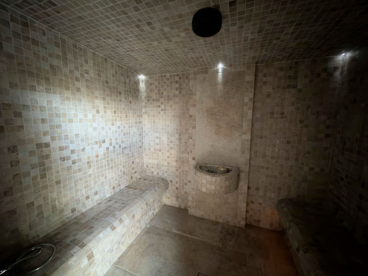 Reședință exclusivistă cu piscină și SPA | Dumbrăvița - Poză 7