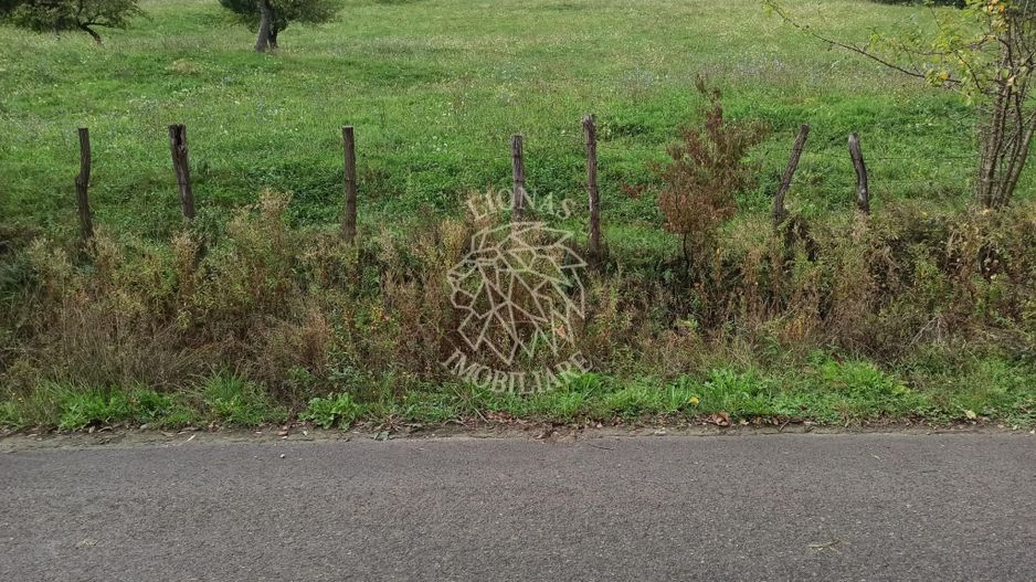 Teren intravilan 12600 mp-utilitati-ideal case, investitie-Livezile - Poză 1