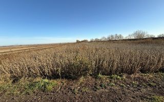 TEREN EXTRAVILAN | 35 ARI | HORODNIC DE JOS | - Poză 2