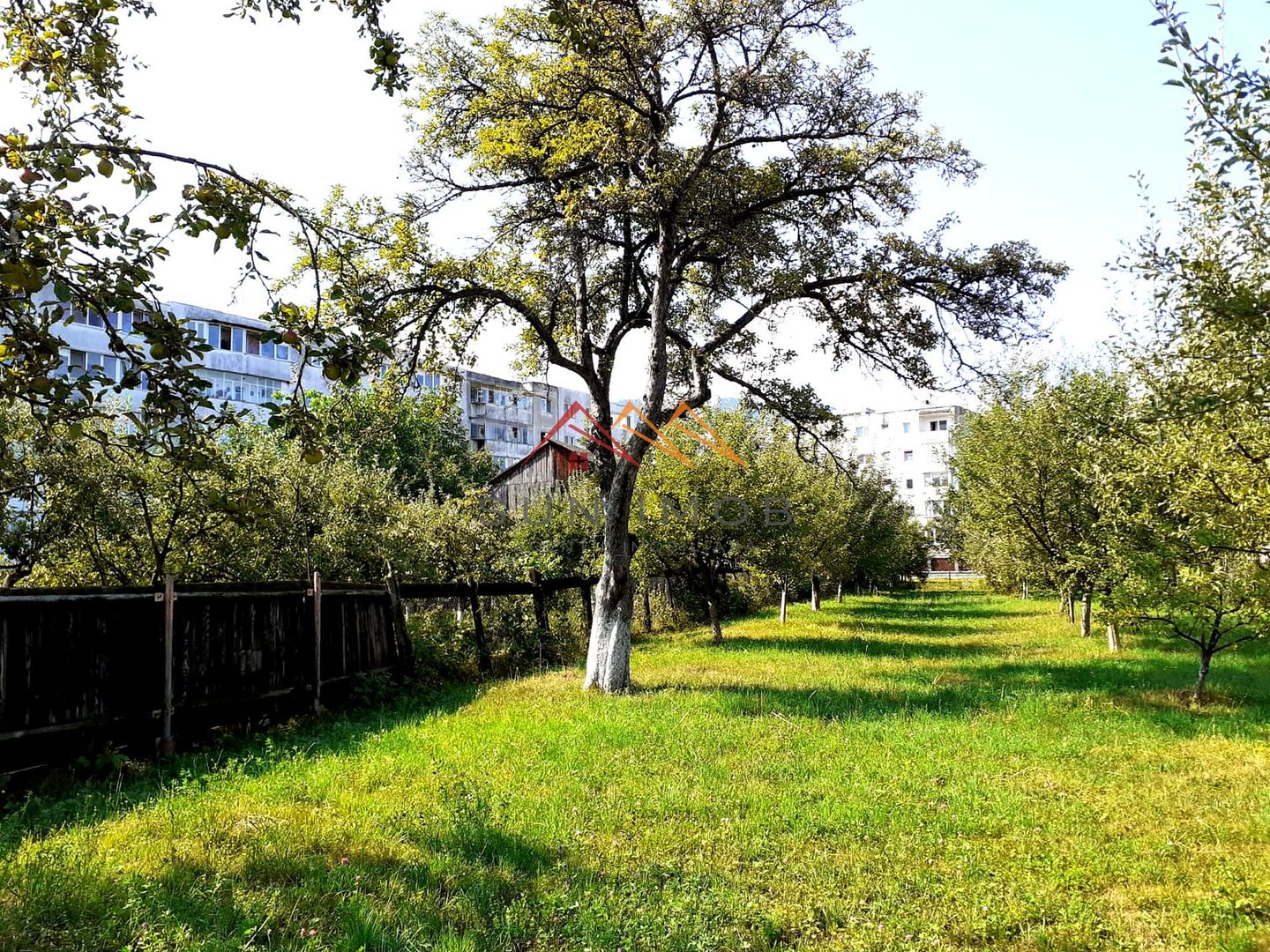 Casa 3 camere, teren 3625 mp, toate utilitatile, Sacele, Brasov - Poză 7