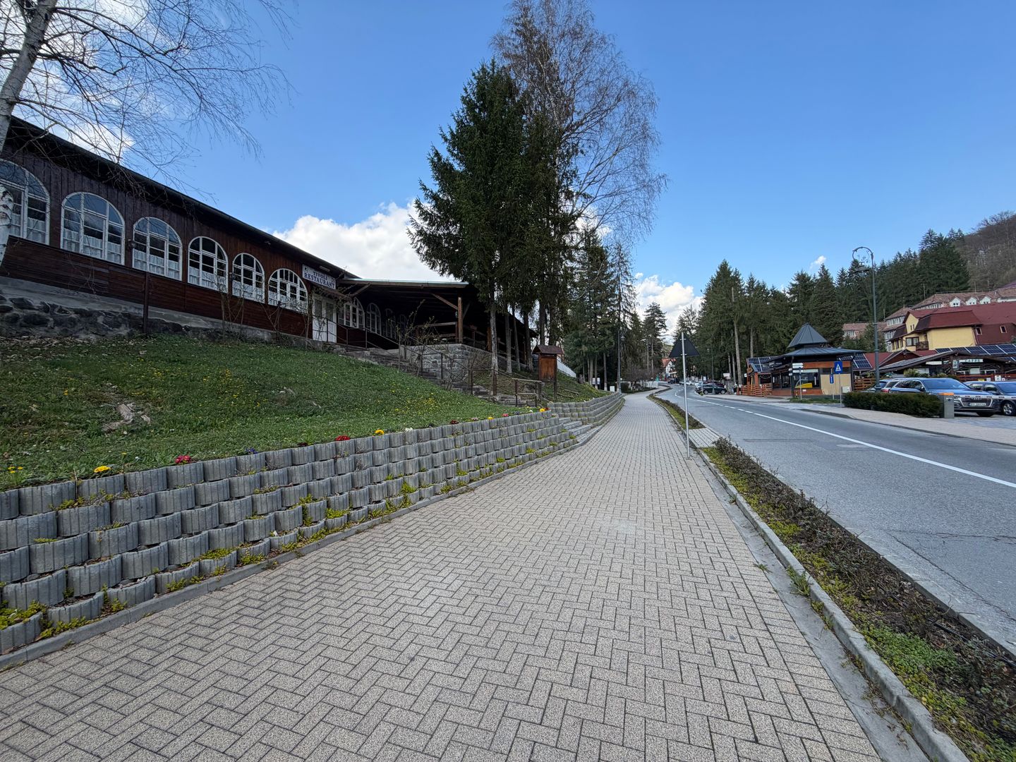 Oportunitate rara de investitie – teren in Sovata, str. Trandafirilor - Poză 3