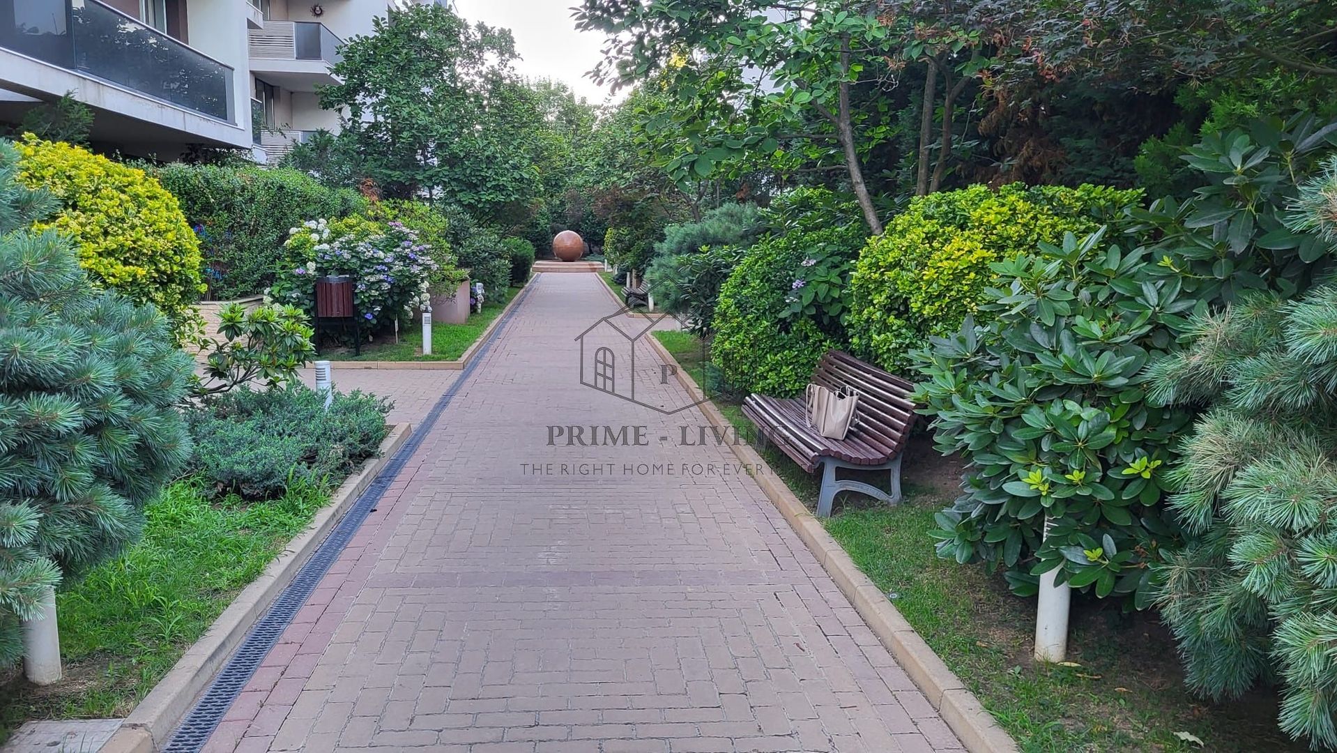 APARTAMENT COCHET CU 3 CAMERE LA INCHIRIERE IN ZONA GRADINA ZOO - Poză 7