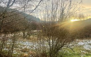 TEREN INTRAVILAN 2,26 HA | SUCEVITA | - Poză 11