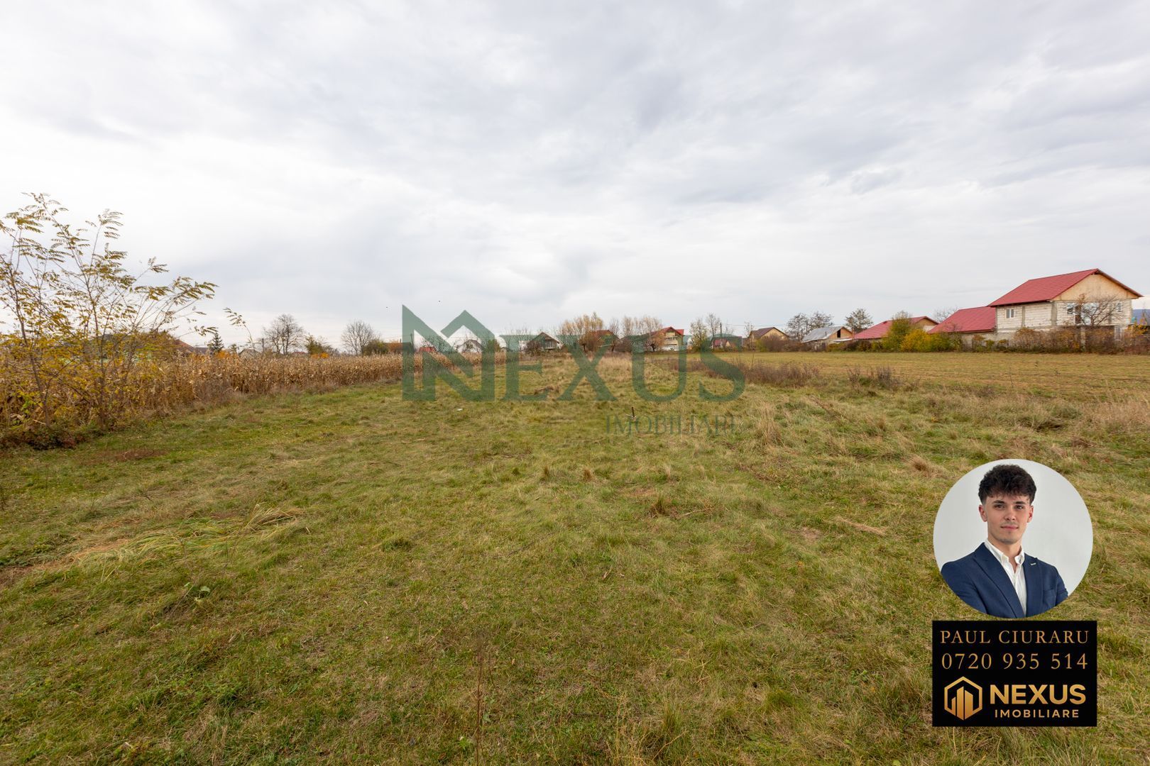 Teren Nicolae Bălcescu 3942 mp intravilan - Poză 4