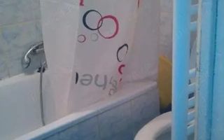 Garsoniera Buziasului cu centrala - Poză 5