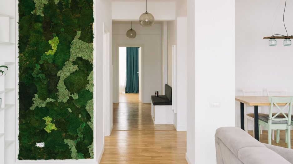 4 CAMERE || PENTRU INVESTITIE || DOMENII - Poză 7