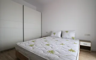 ISHO - Take Ionescu; 2 camere, mobilate modern. - Poză 13