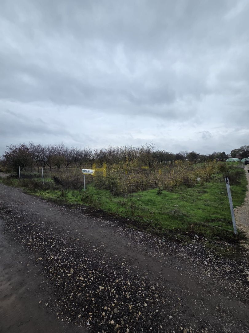 Teren Aleea Viilor Adunatii Copaceni - Poză 3