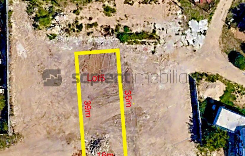 Sapient | Parcele pe str. Plantelor ,Episcopia - Poză 3