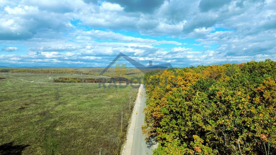 TEREN INTRAVILAN ÎN PĂDURE LA VĂRBILA - PRAHOVA – COMISION 0% - Poză 1