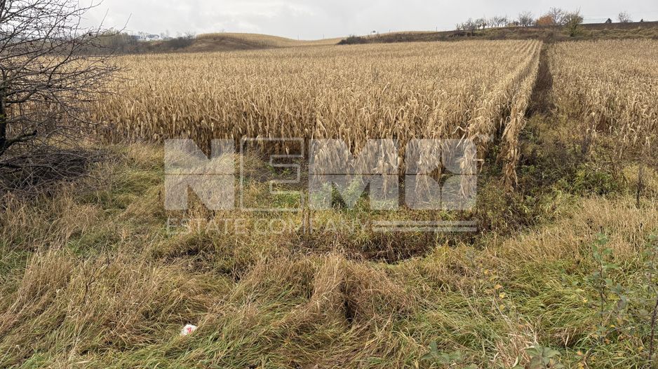 Teren 24 ari | Grănicesti | Front 19 m | DN2H - Poză 3