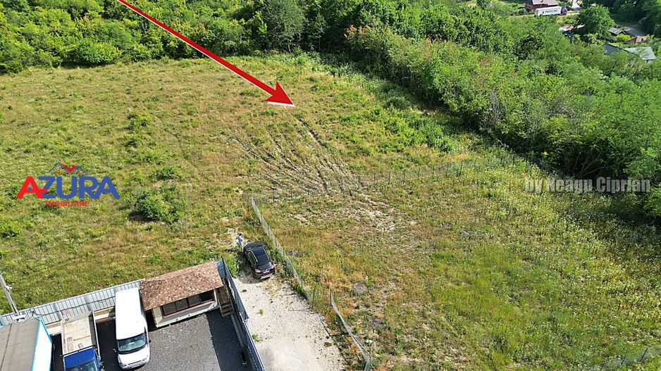AZURA Imobiliare - Vanzare teren Smeura, zona verde - Poză 2
