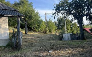 Teren intravilan 3003 mp cu casă bătrânească, fântână și curent electric în Dobrovat, Iași - Poză 5