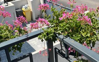 Vila 4 camere Tunari I noua, mobilata I zona centrala Parc Primarie - Poză 18