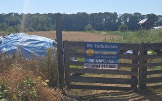 Teren 10.294 mp de vânzare Târgu Jiu | Intravilan + Extravilan | Utilități - Poză 10