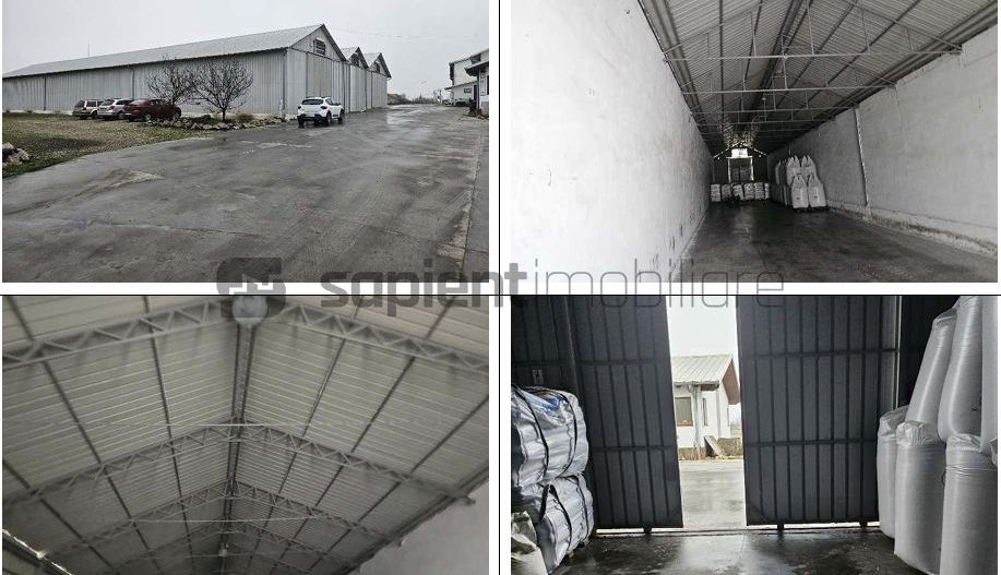 Proprietate industrială  Platformă logistică de vânzare în Tinca - Poză 7